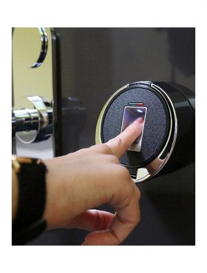Stockinger_Gan_Cabinet_lock